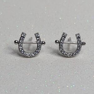 Horseshoe Shaped Silver Rhinestone Stud Earrings